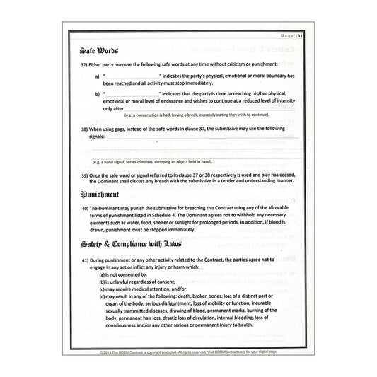 BDSM Contract Book