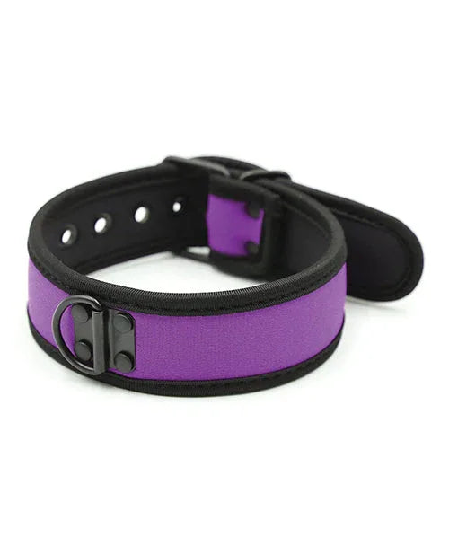 Purple Neoprene Puppy Collar - Puppy's Aesthetics