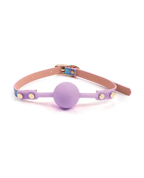 Hello Sexy! Iridescent Rainbow Gag - Puppy's Aesthetics