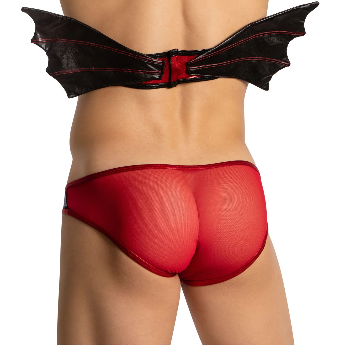 Vampire's Embrace | Sheer Mesh & Wing Set - Puppy's Aesthetics