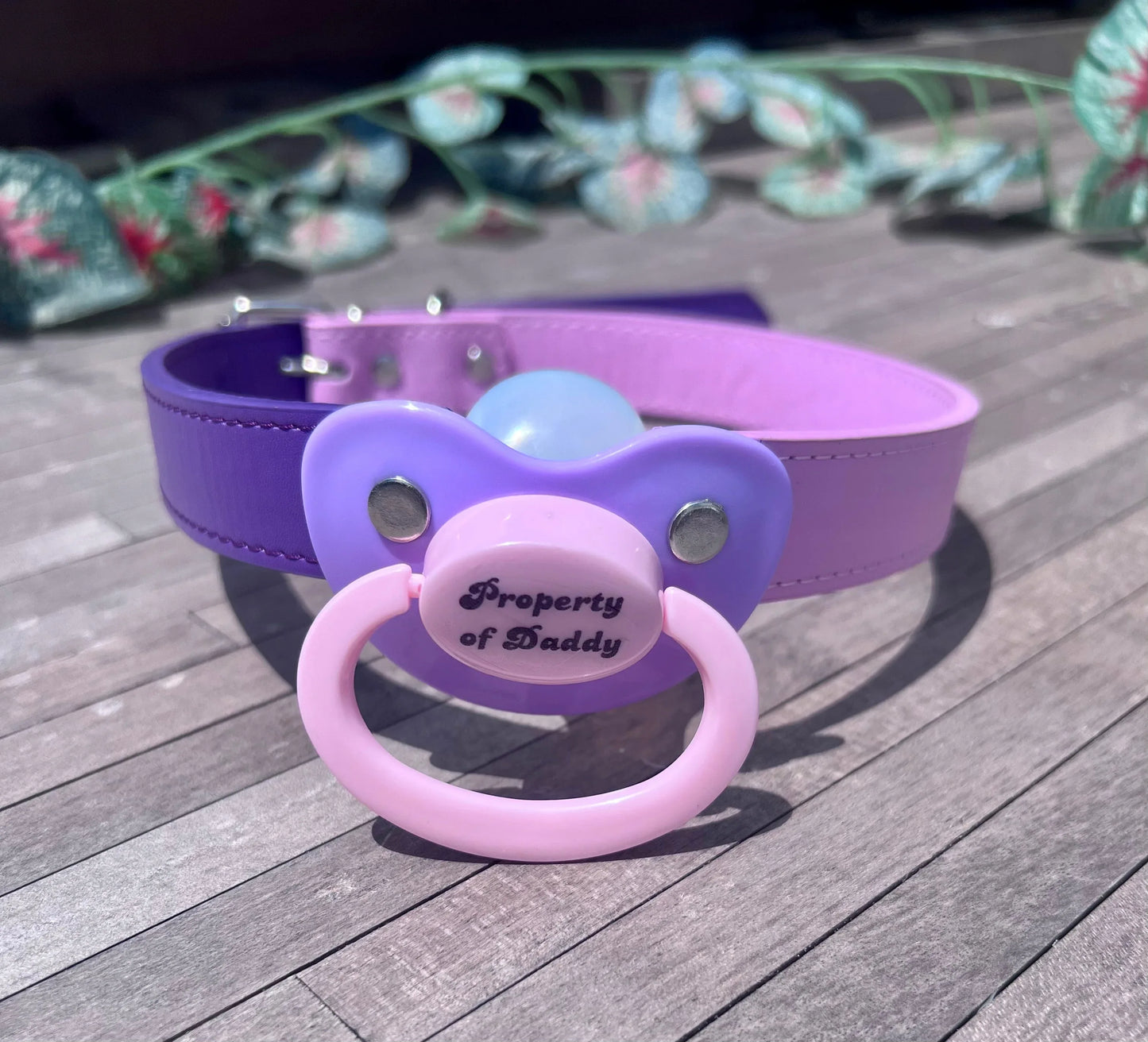 Property of Daddy Adult Pacifier Gag - Puppy's Aesthetics