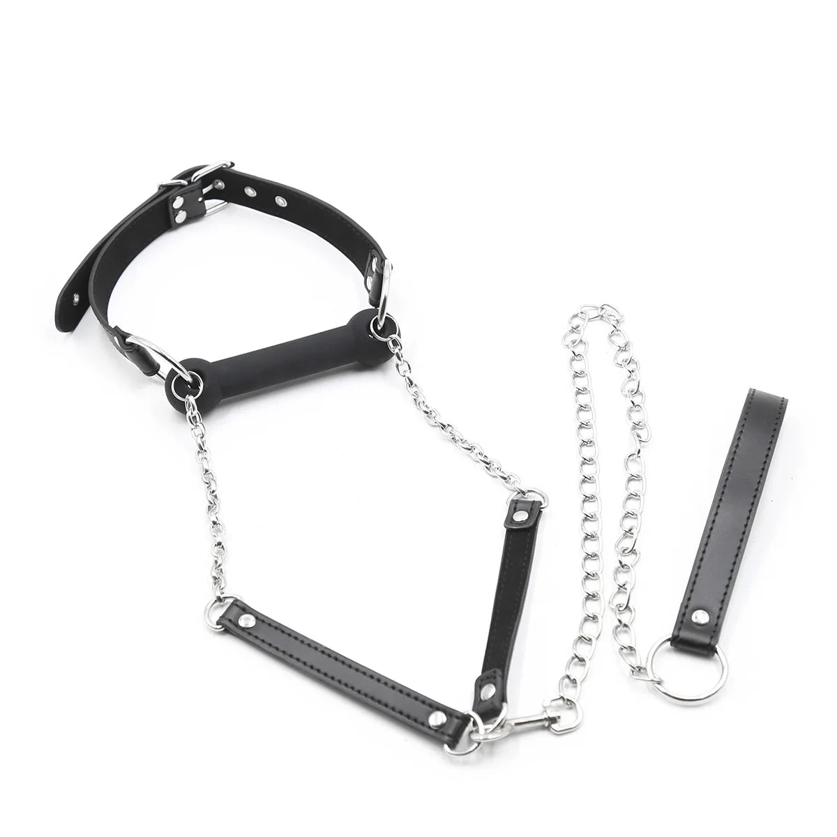 Obedient Pup Bit Gag & Leash Set