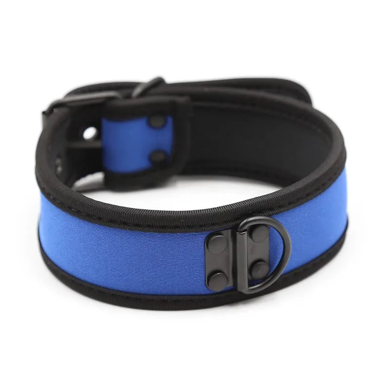 Blue Neoprene Puppy Play Collar
