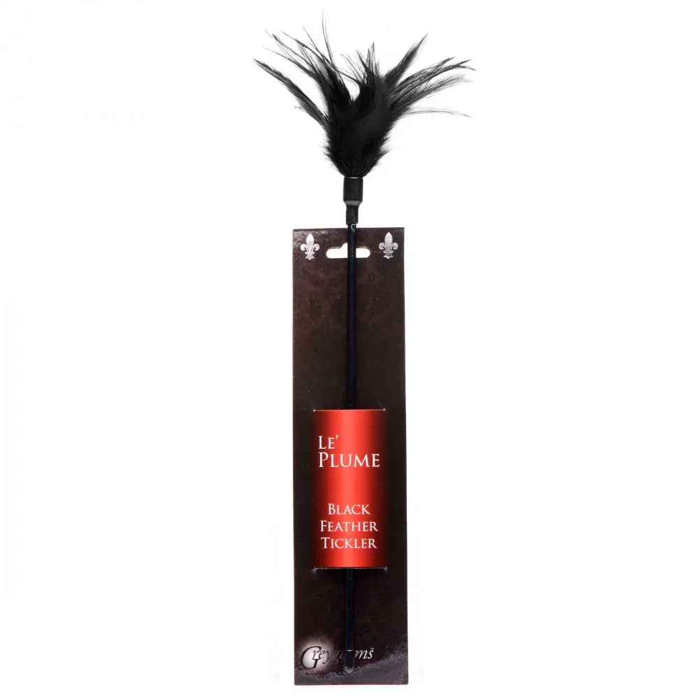 Le Plume Feather Tickler – Sensory Delight - Puppy's Aesthetics