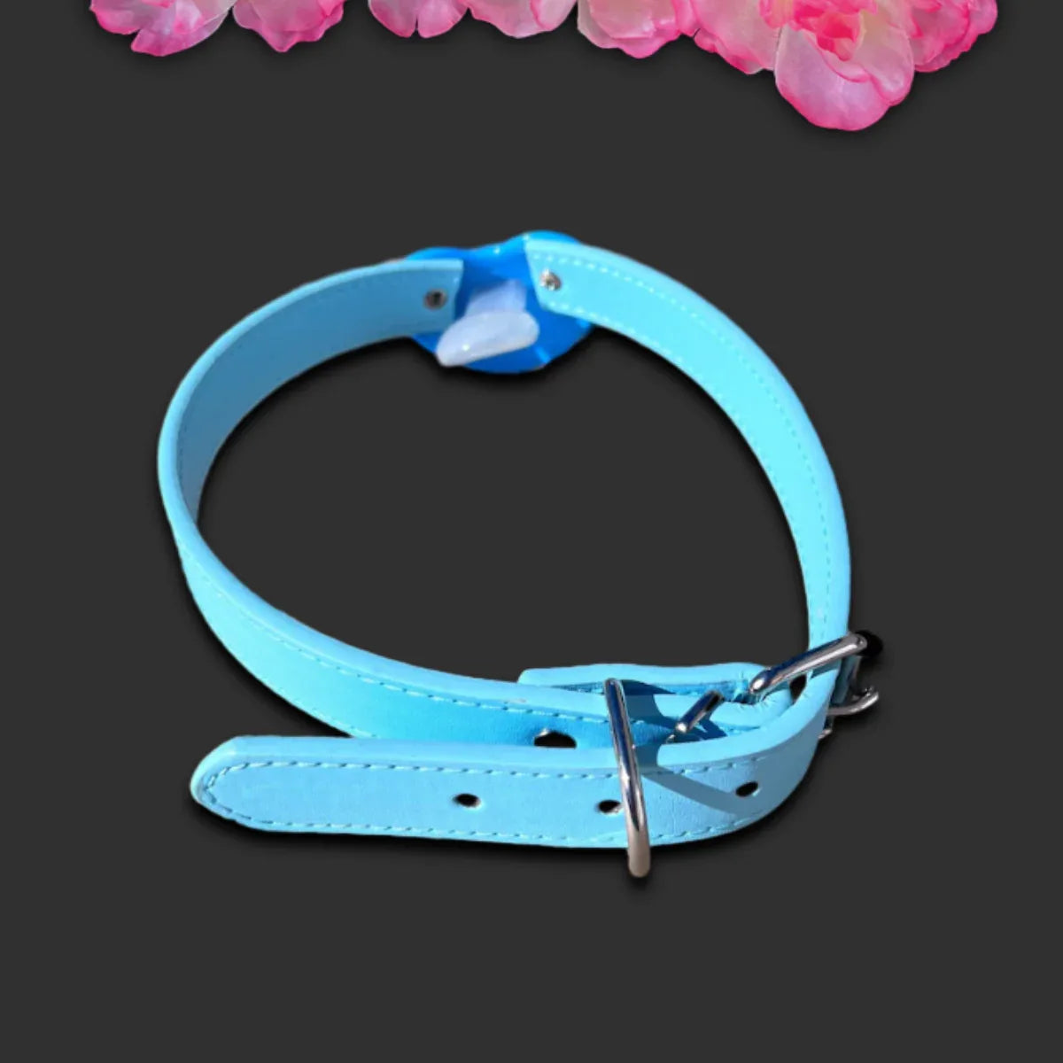 Blue Splash Zone Pacifier Gag - Puppy's Aesthetics