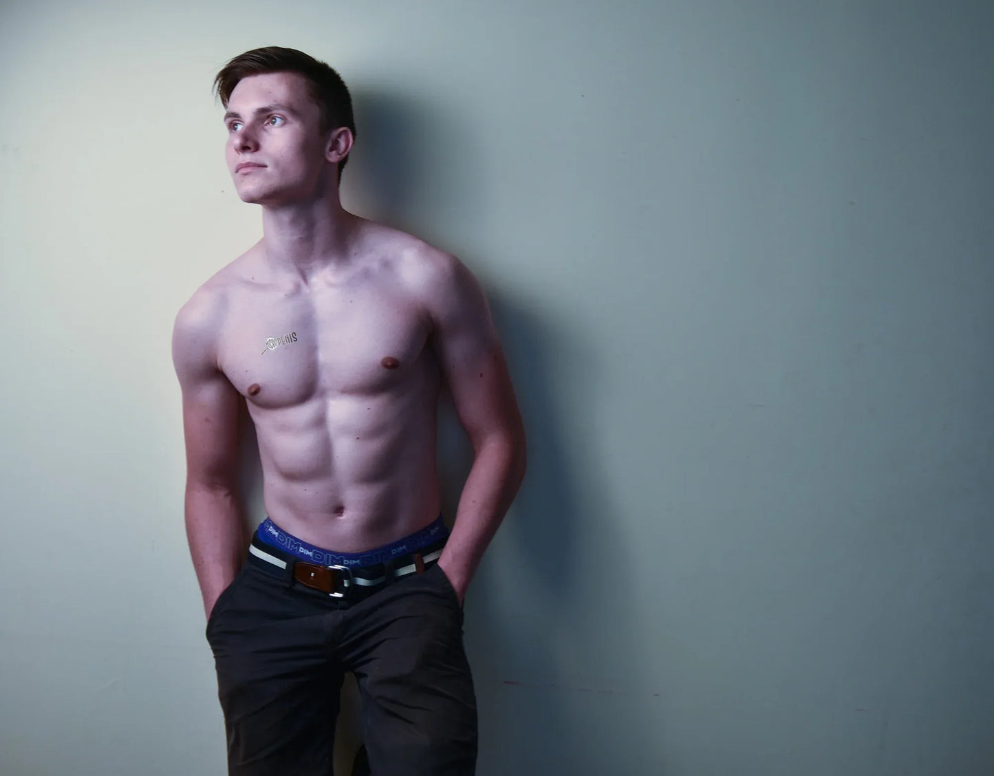 A4 Male Gay Cuck (Mega Sheet) - Puppy's Aesthetics