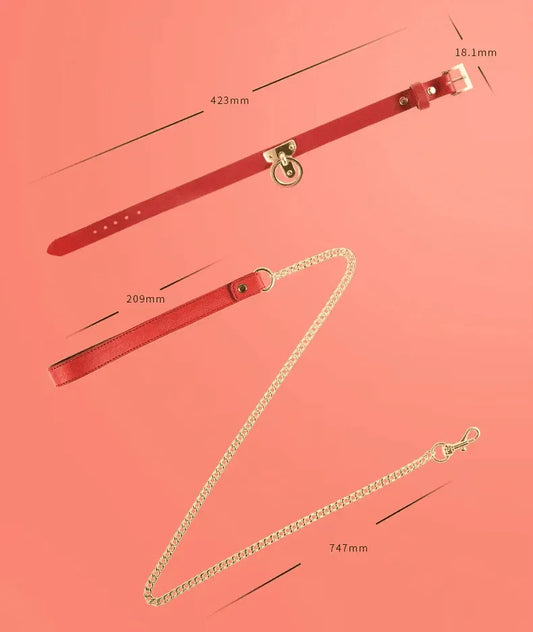 Luxury Leather Collar & Leash Set (Colors) - Puppy's Aesthetics