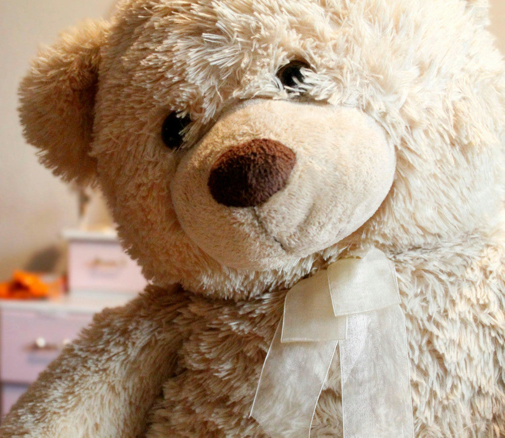 Daily Routine for Littles Who Need Structure