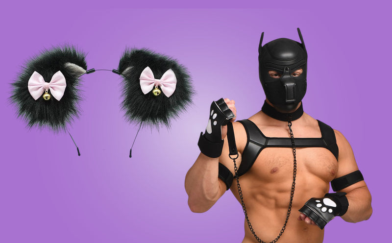 Petplay Collection