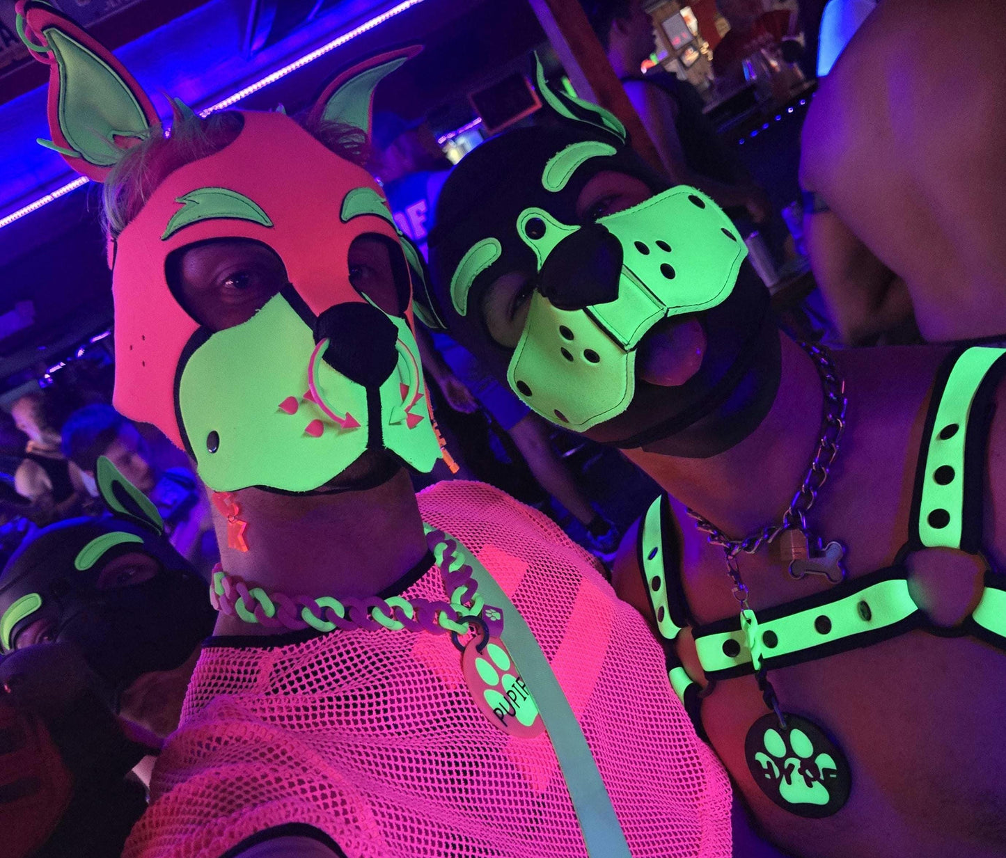 🐾 High Tech: 3D Printed Puppy Paw Name Badges (Includes NFC Chip)