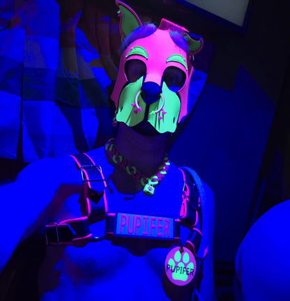 🐾 High Tech: 3D Printed Puppy Paw Name Badges (Includes NFC Chip)