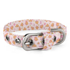 Bearly Adorable Cloth Pet Collar