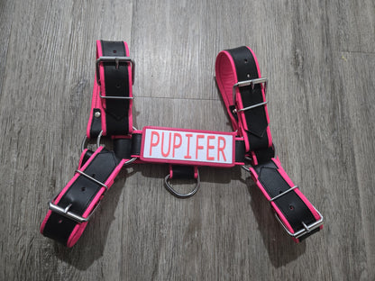 🎨 Harness Nameplate - Colorful, Personalized, Durable, & Stylish. High-Tech Options