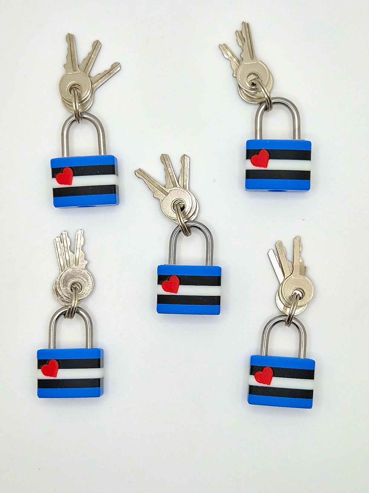 Small Lock & Cover – Custom Kink Collar Lock, Keyed Alike Options, Glow & Pride Styles