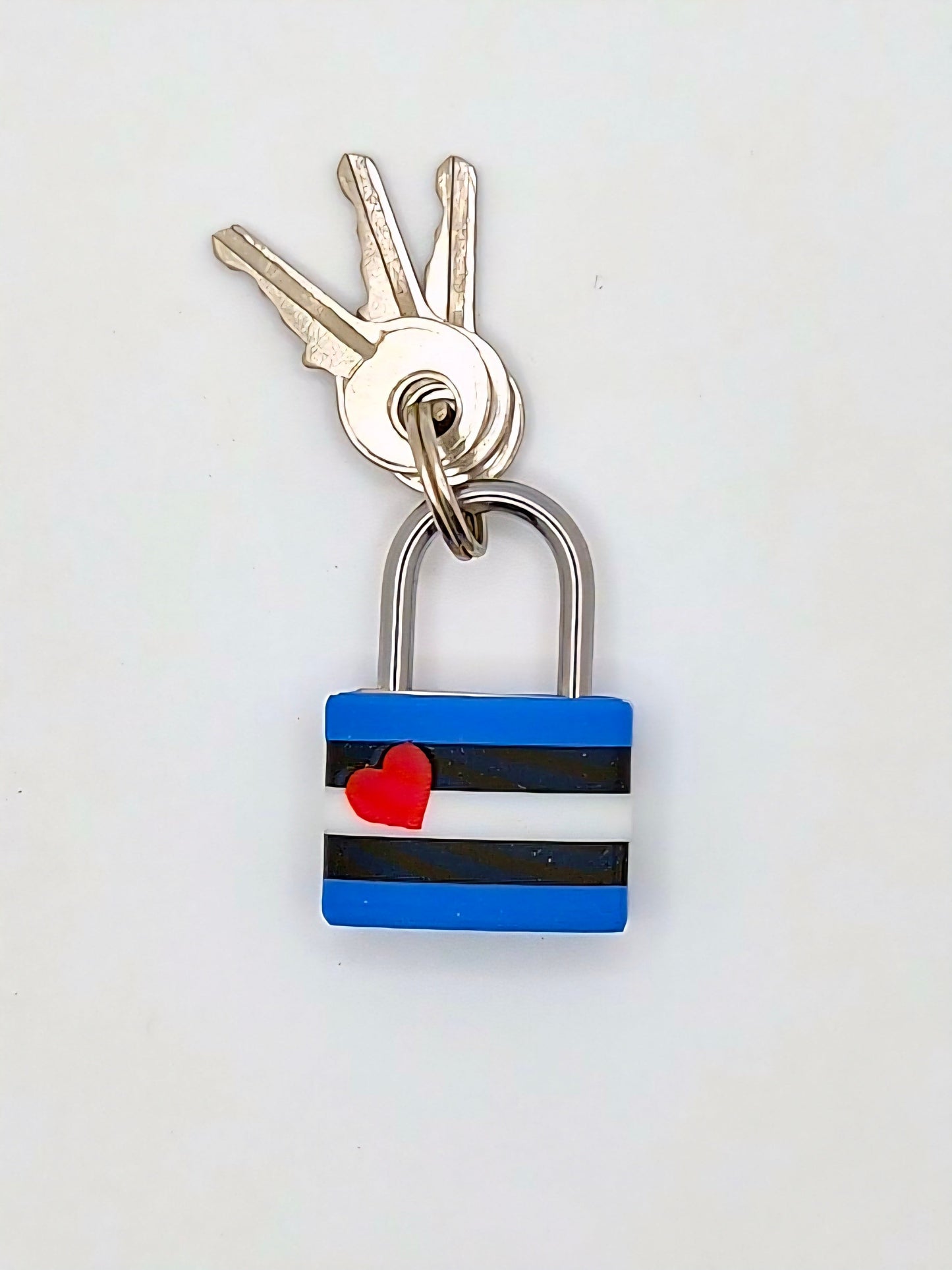 Small Lock & Cover – Custom Kink Collar Lock, Keyed Alike Options, Glow & Pride Styles