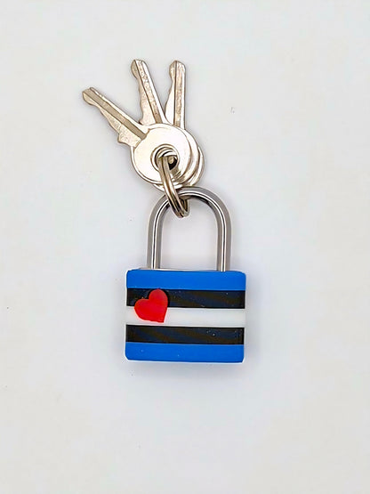 Small Lock & Cover – Custom Kink Collar Lock, Keyed Alike Options, Glow & Pride Styles