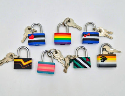 Small Lock & Cover – Custom Kink Collar Lock, Keyed Alike Options, Glow & Pride Styles