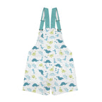 Lil Rawr Dinosaur Unisex Huggeralls