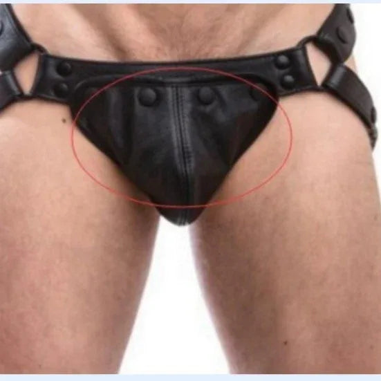 Studded Fetish Leather Harness Briefs (Colors) - Puppy's Aesthetics