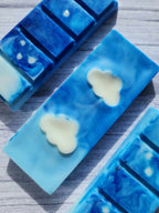 Ex-Friends Til The End | Sky Inspired Wax Melts