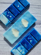 Ex-Friends Til The End | Sky Inspired Wax Melts