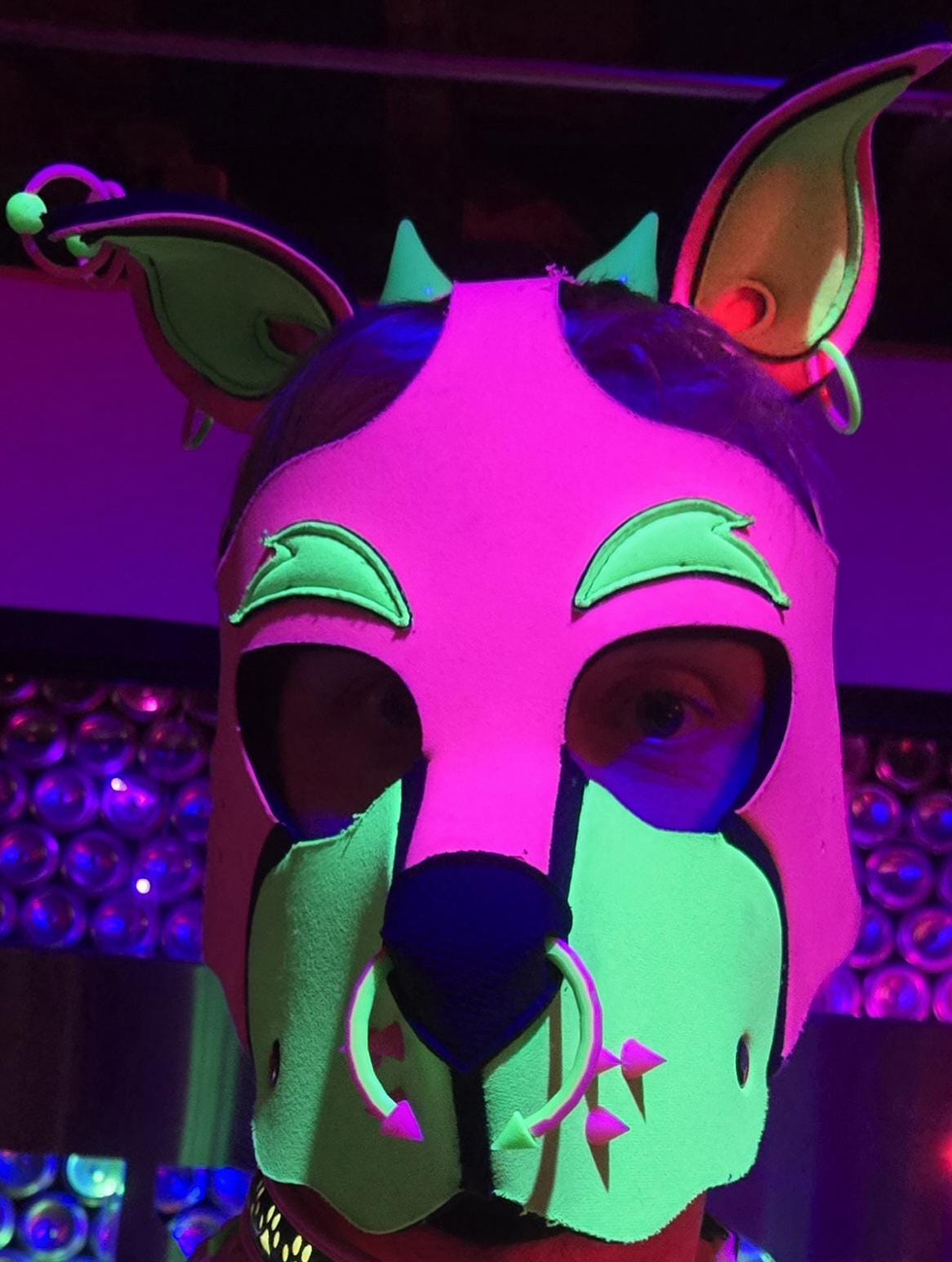 Pup Hood Muzzle Spikes