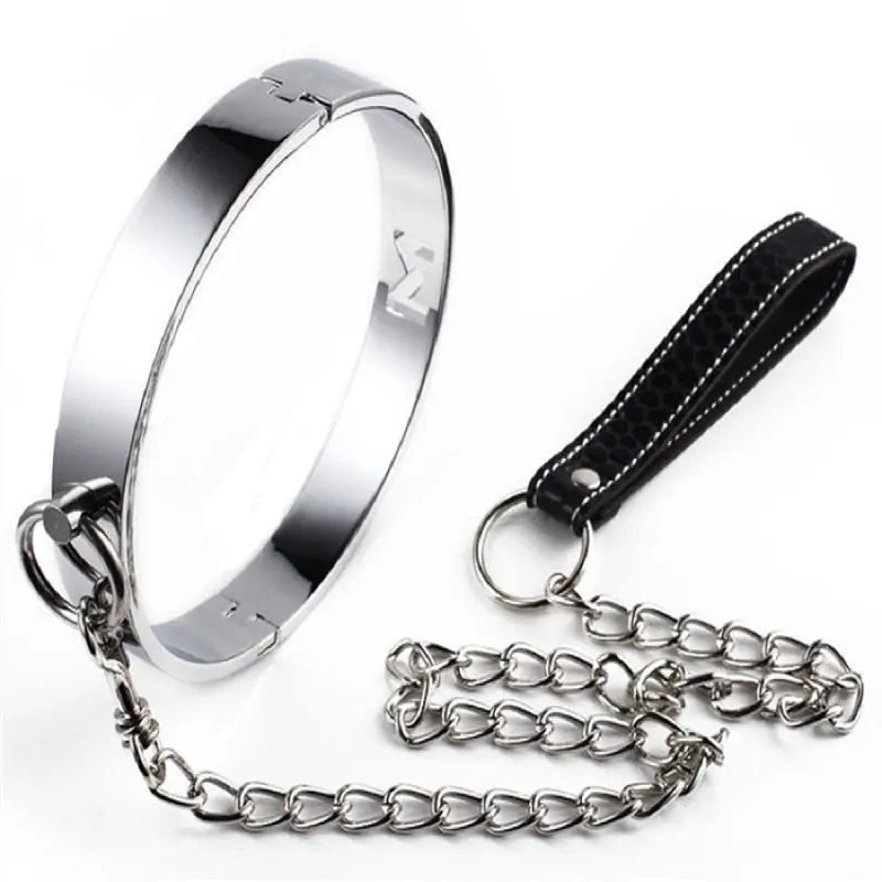 Master's Favorite Stainless Steel Collar Leash Set