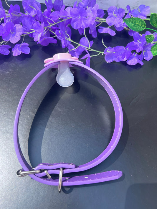 Daddy's Wet Princess Pacifier Gag - Puppy's Aesthetics