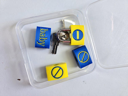 Small Lock & Cover – Custom Kink Collar Lock, Keyed Alike Options, Glow & Pride Styles