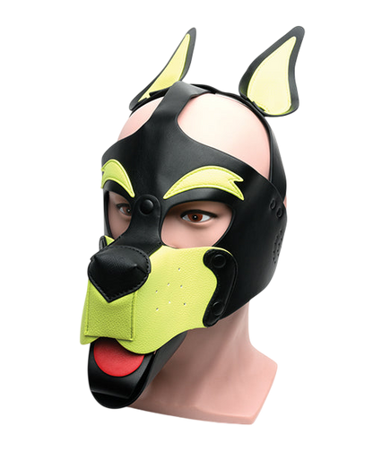 Playful Pup Hood - Black & Yellow