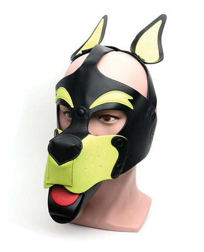 Playful Pup Hood - Black & Yellow