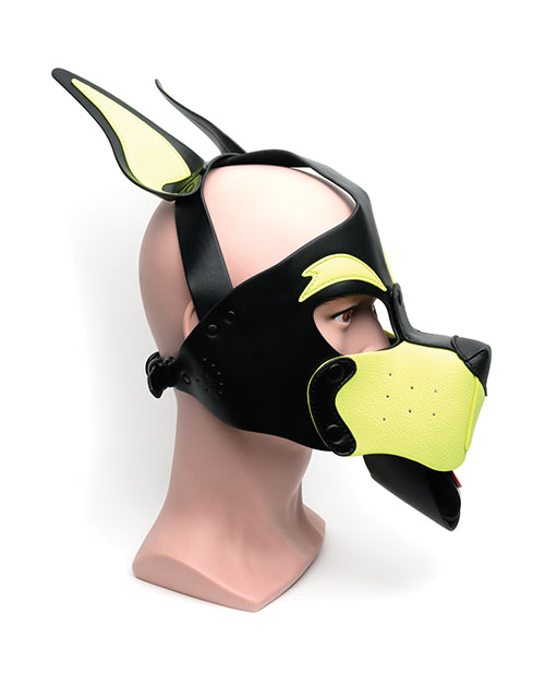 Playful Pup Hood - Black & Yellow