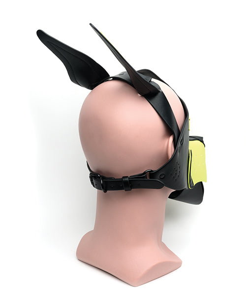 Playful Pup Hood - Black & Yellow