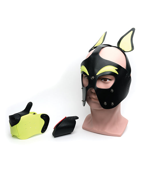 Playful Pup Hood - Black & Yellow