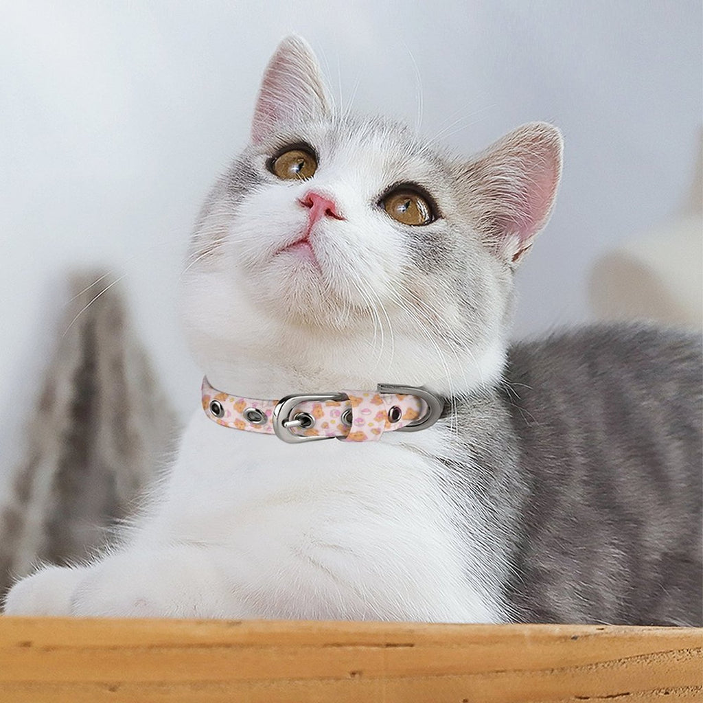 Bearly Adorable Cloth Pet Collar