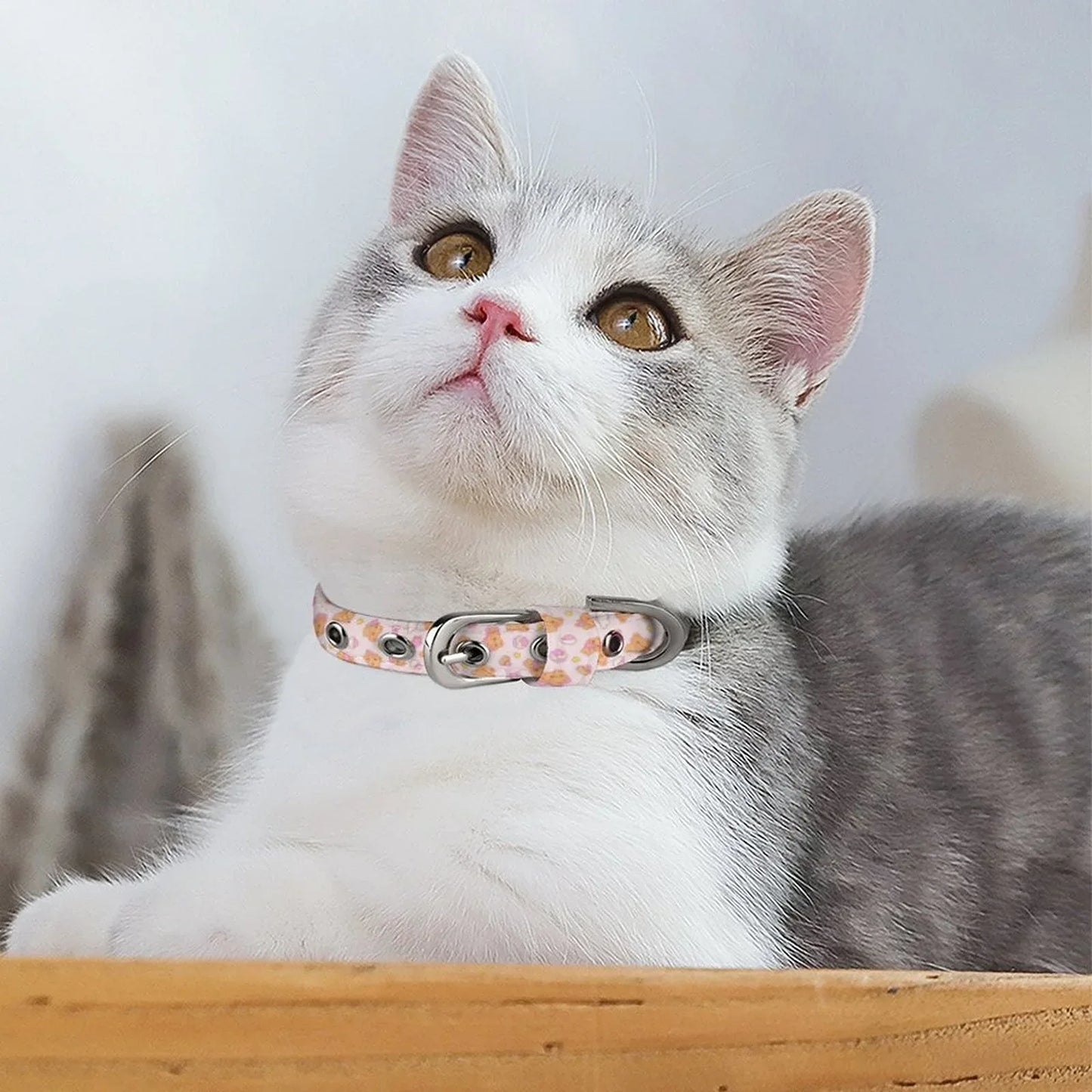 Bearly Adorable Cloth Pet Collar - Puppy's Aesthetics