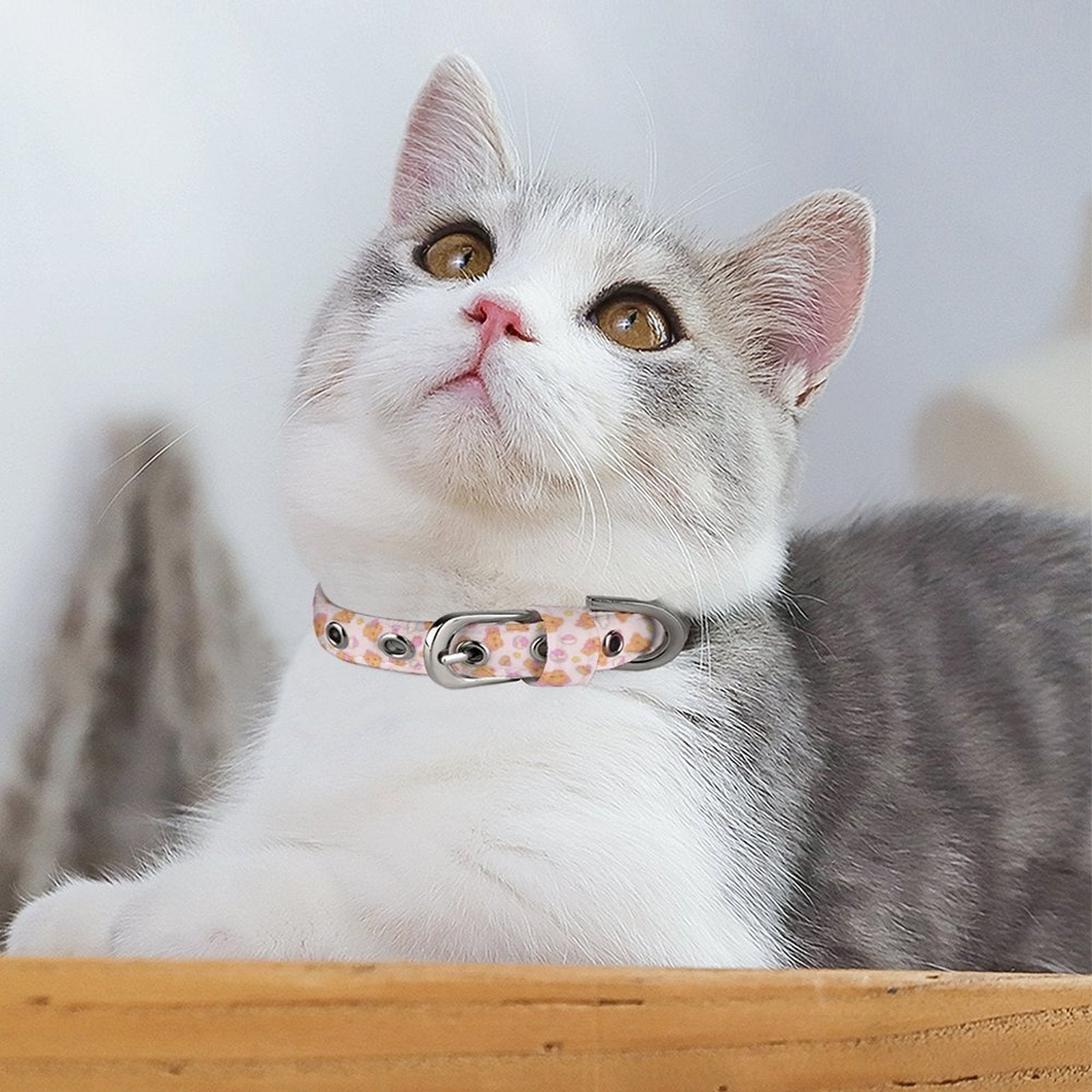 Bearly Adorable Cloth Pet Collar