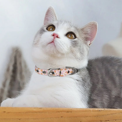Bearly Adorable Cloth Pet Collar - Puppy's Aesthetics