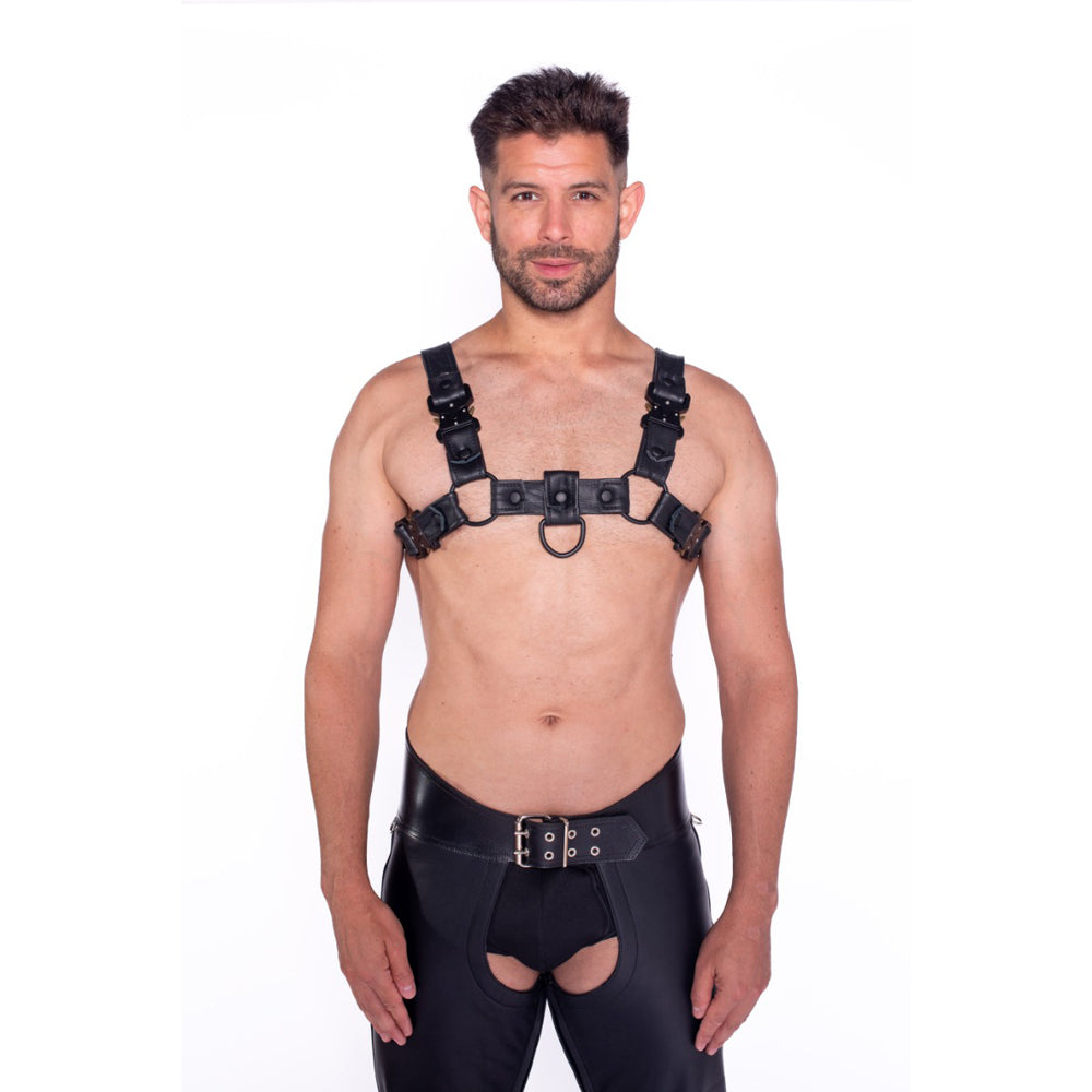 Prowler RED Bull Harness Black with Metal Fittings S