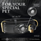 Leather Tracking Collar for Your Curious Sub