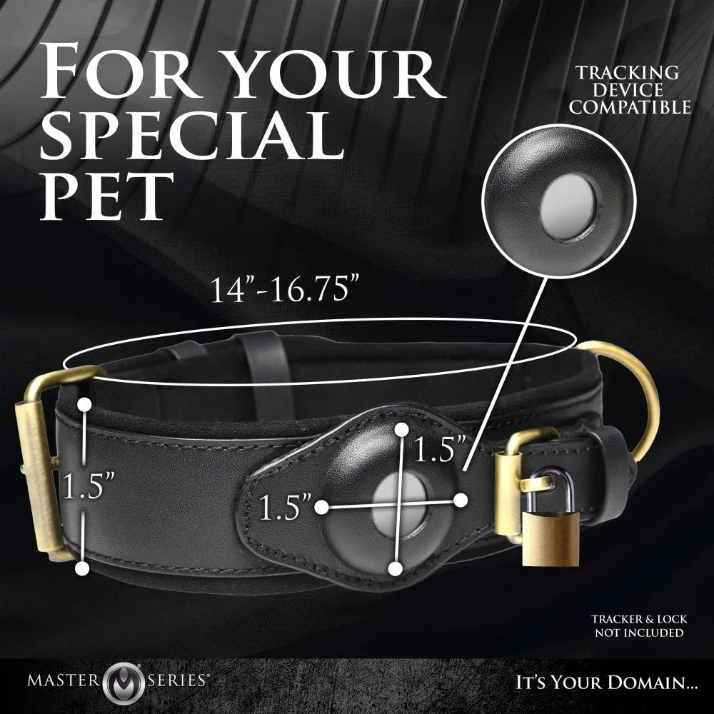 Leather Tracking Collar for Your Curious Sub - Puppy's Aesthetics