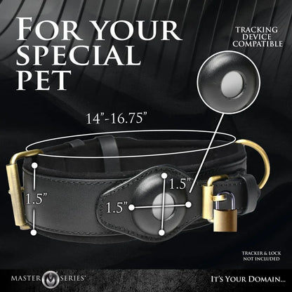 Leather Tracking Collar for Your Curious Sub - Puppy's Aesthetics