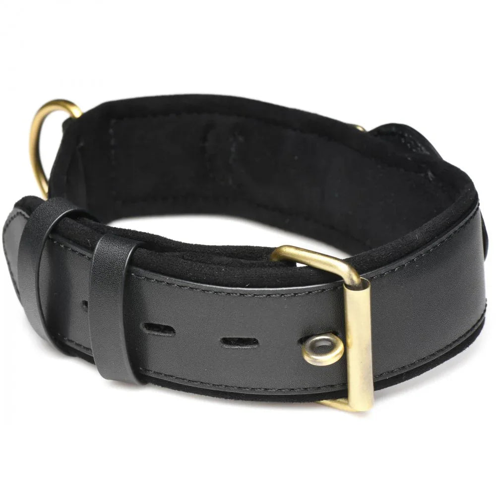 Leather Tracking Collar for Your Curious Sub - Puppy's Aesthetics