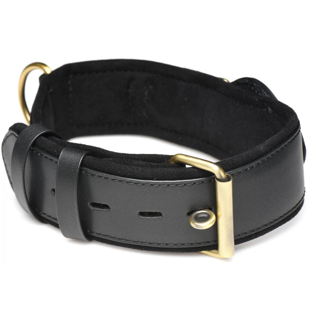 Leather Tracking Collar for Your Curious Sub