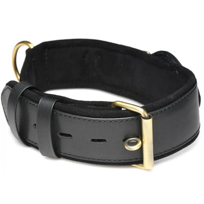Leather Tracking Collar for Your Curious Sub - Puppy's Aesthetics