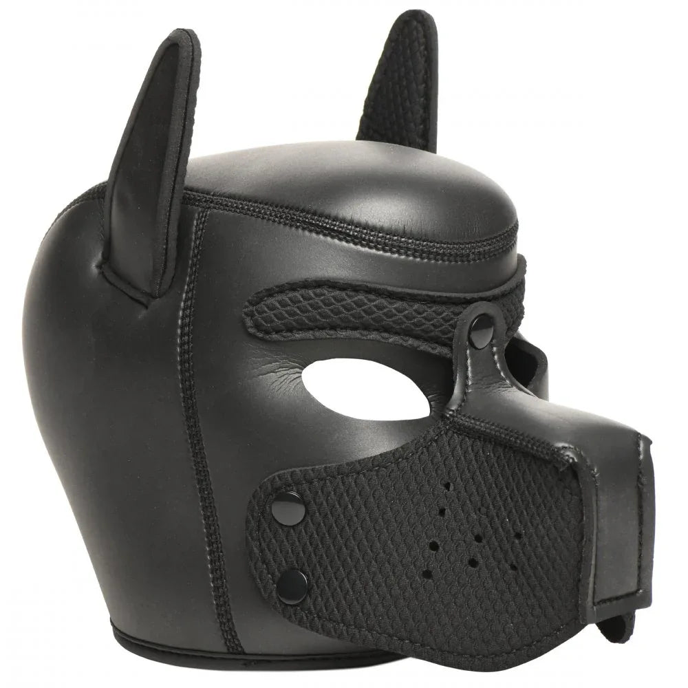 Deluxe Pup Arsenal Set | 9-Piece Puppy Play Gear Kit - Puppy's Aesthetics