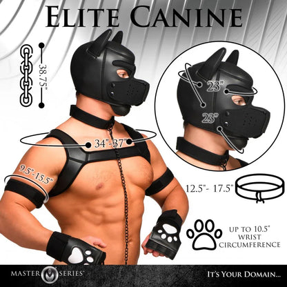 Deluxe Pup Arsenal Set | 9-Piece Puppy Play Gear Kit - Puppy's Aesthetics