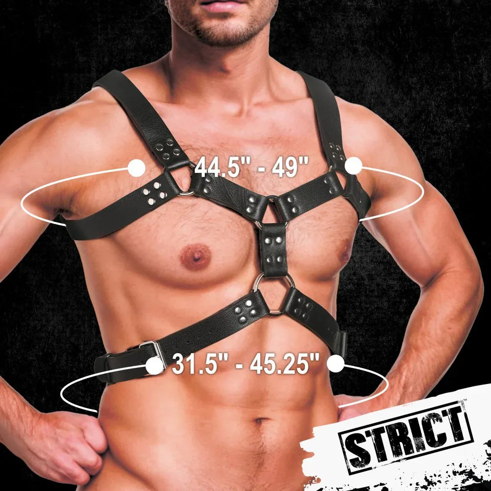 6 O-Ring Chest Harness - Puppy's Aesthetics
