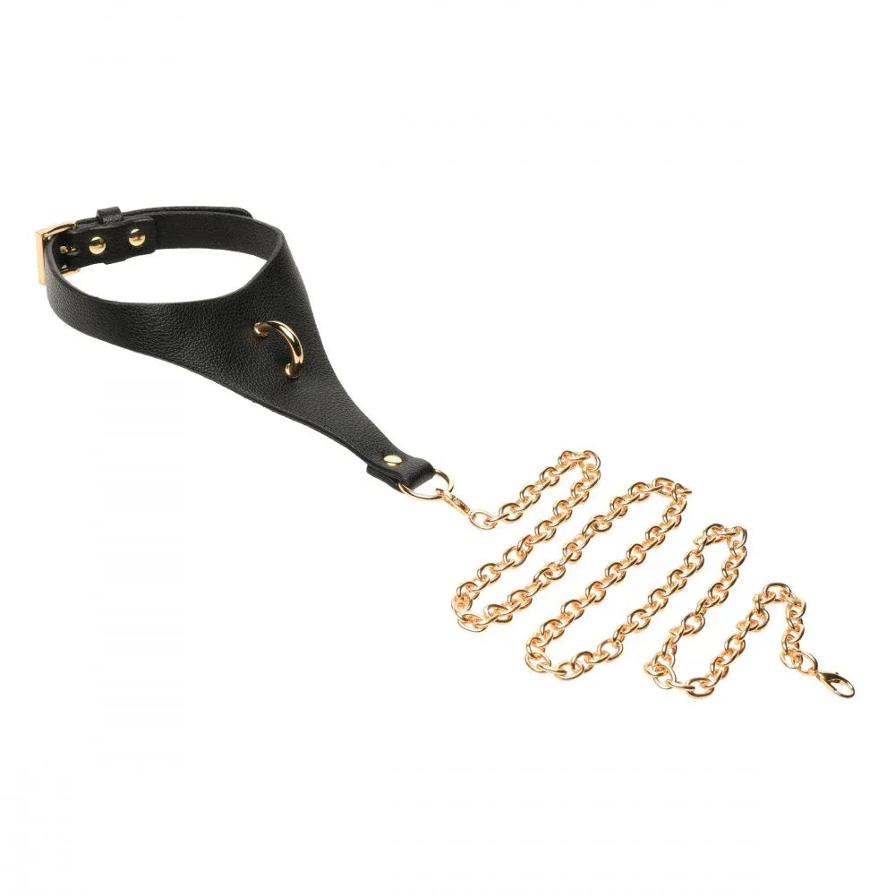 Captivate Collar with Body Chain - Puppy's Aesthetics