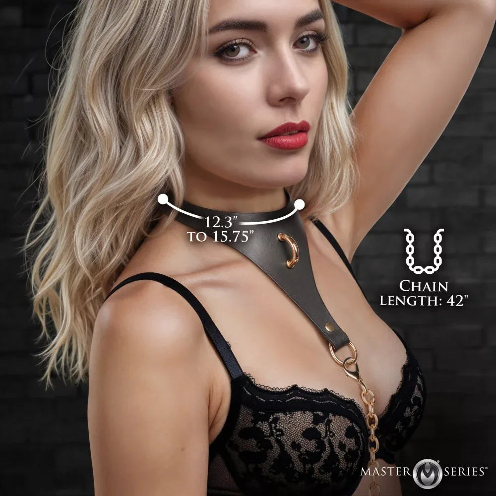 Captivate Collar with Body Chain - Puppy's Aesthetics